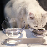 Cat Bowls Double With Raised Stand Pet Food and Water